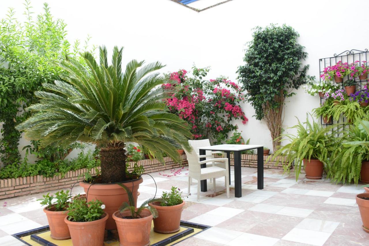 Purisima Vivienda Turistica Leilighet Córdoba Eksteriør bilde